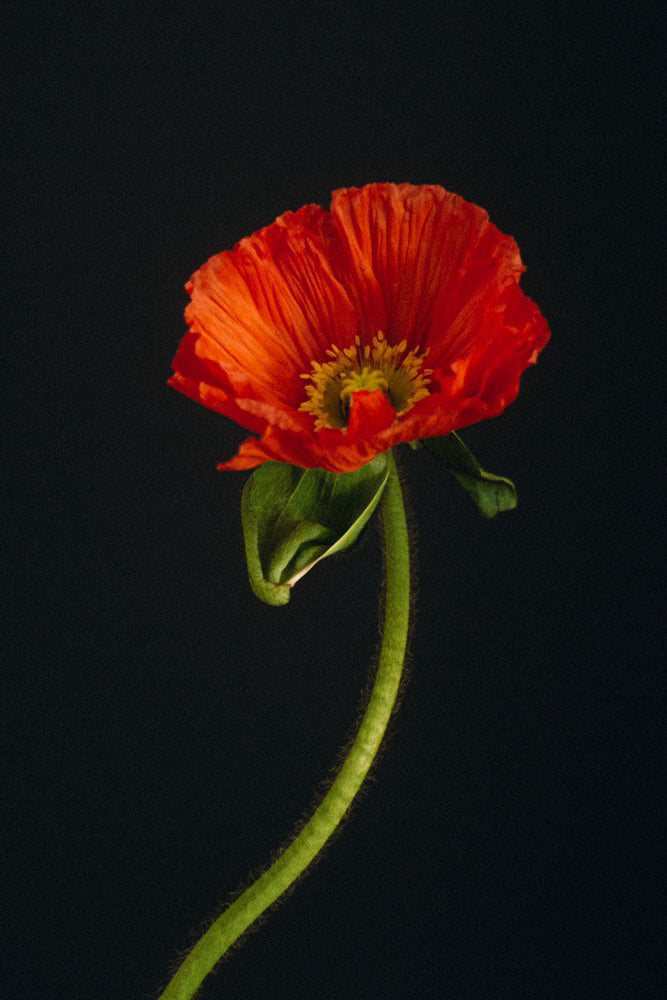 Movies About Love You May Never Have Heard About